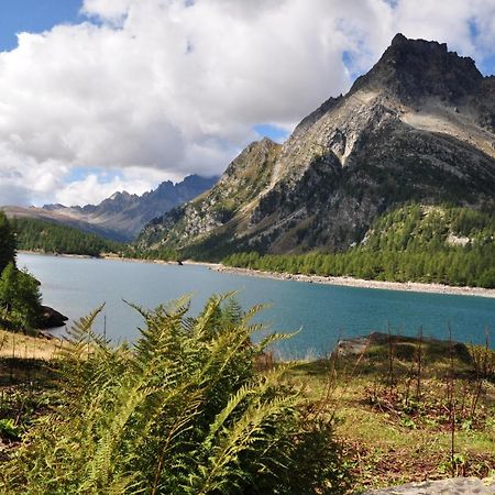 Вілла Casa Vacanza In Tipico Chalet Di Montagna Варцо Екстер'єр фото